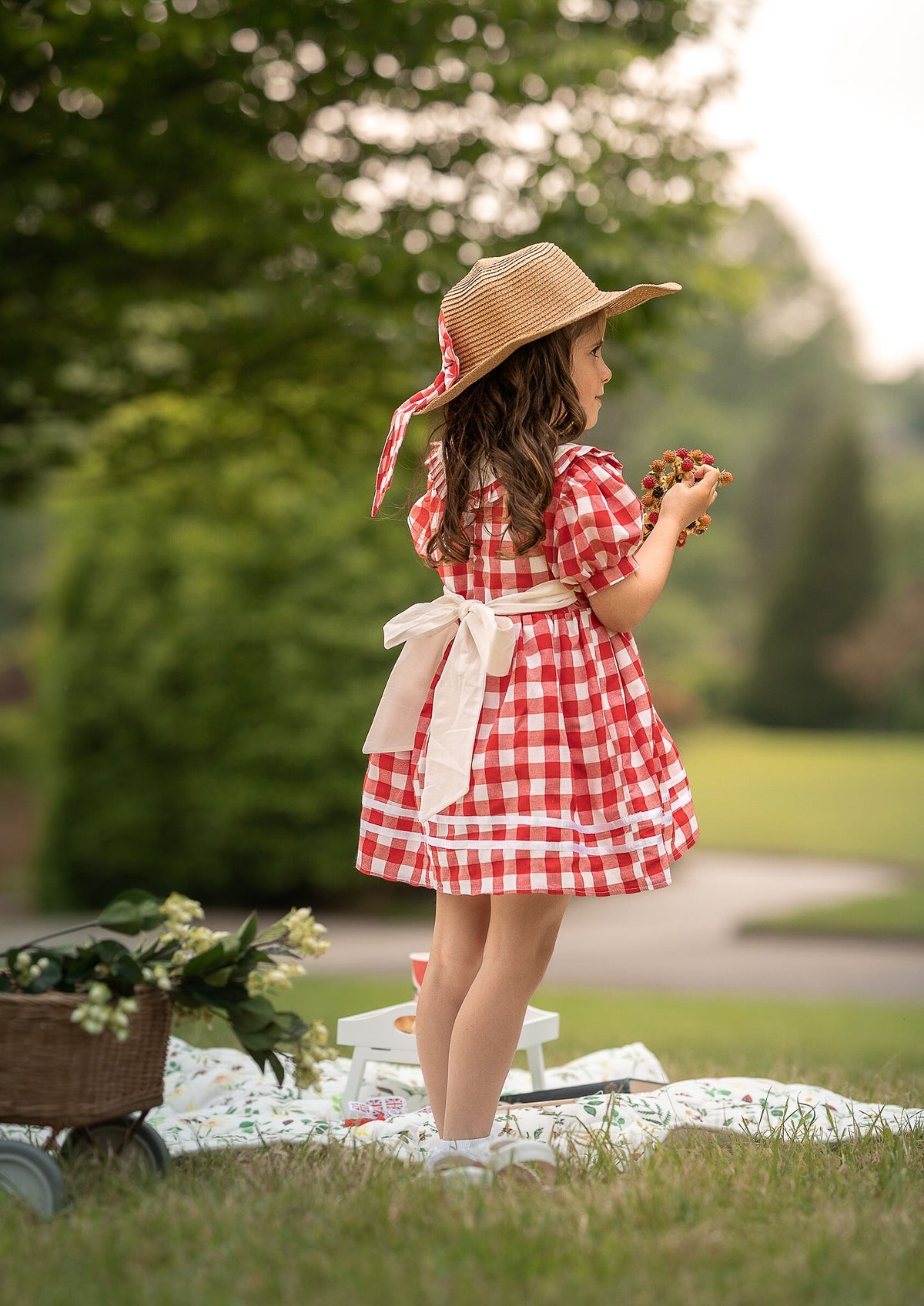 Girls Red Gingham Dress