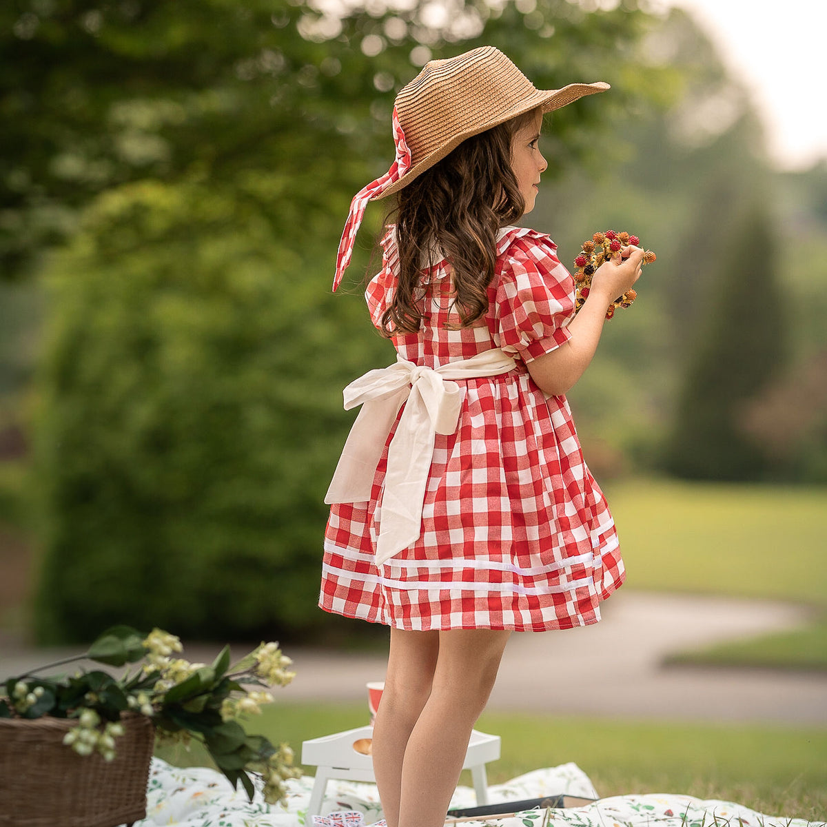 Baby girl red sales gingham dress